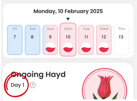 calendar